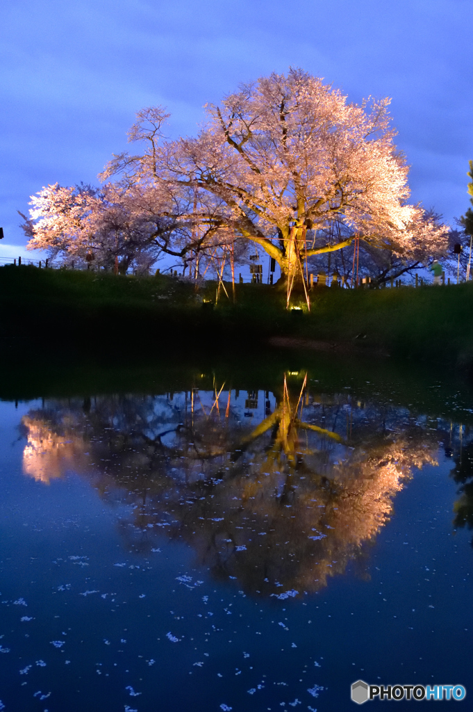 日本の絶景が見たくて。。。