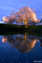 日本の絶景が見たくて。。。