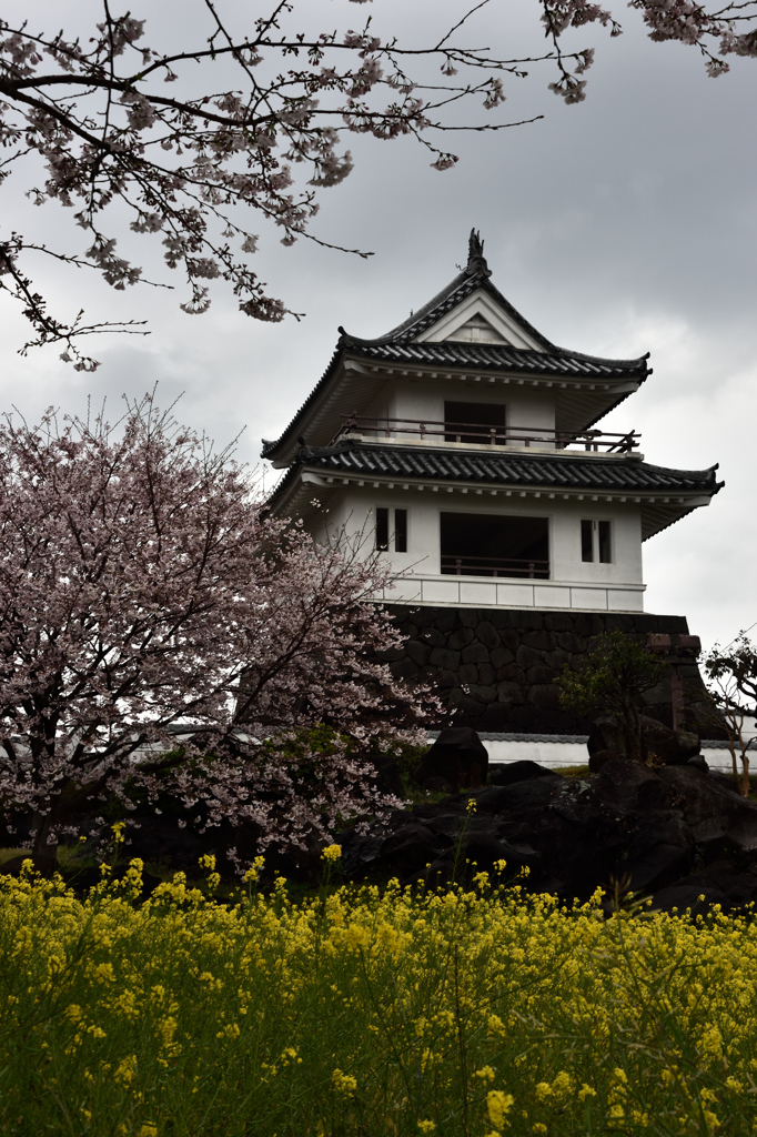 雨中桜観　竹崎城