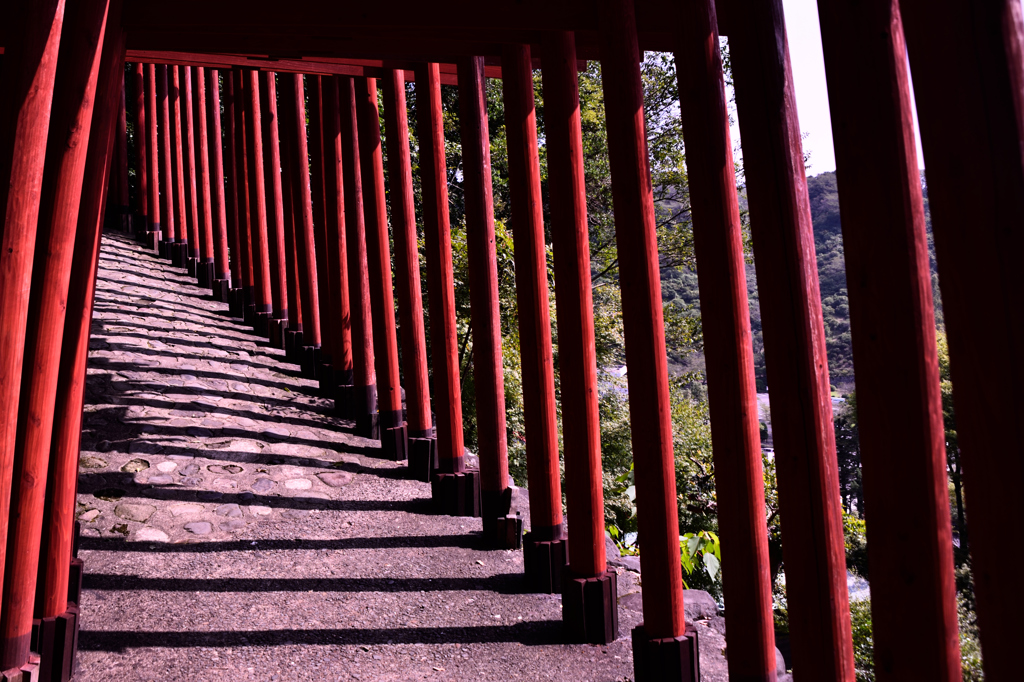 赤い鳥居を早く出ろ！