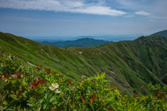 夏山がきた