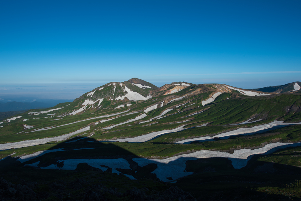 大雪山の夏