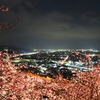 夜桜景