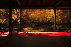 圓光寺〜秋の部〜