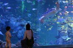 水族館