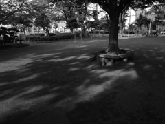 公園と影 モノクロ