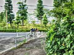 自転車 スナップショット