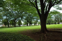 公園