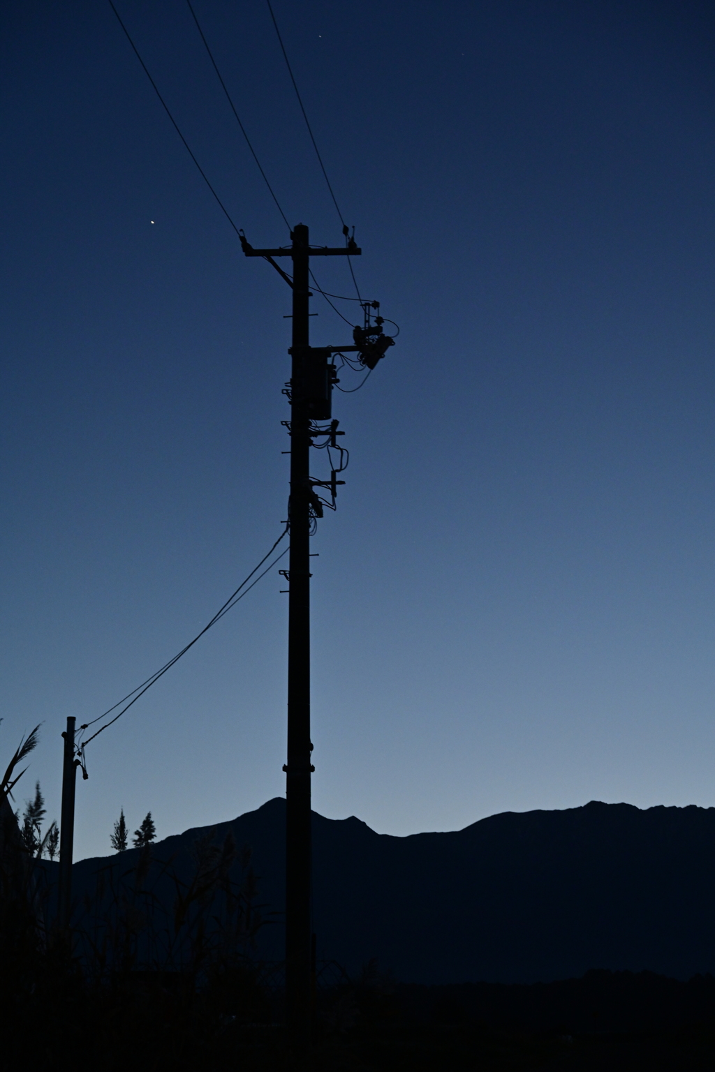 朝日が昇る直前の電柱。