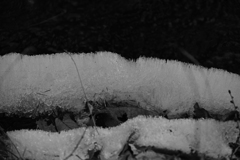 水路を遡って。