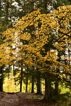 こんな所です。