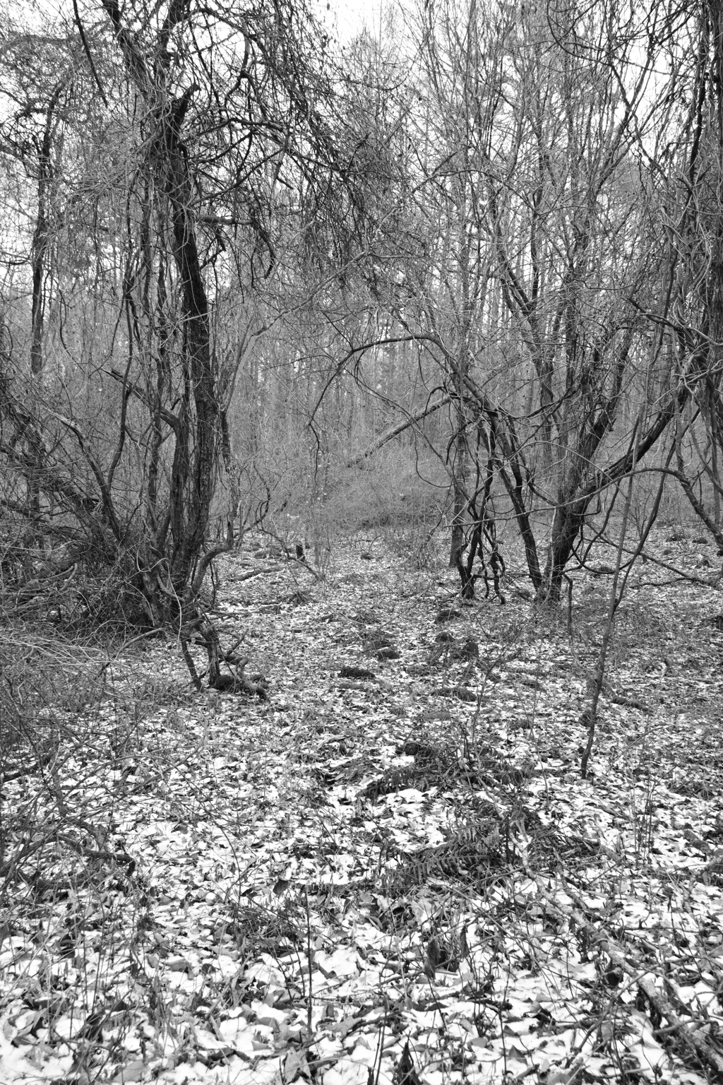 水路を遡って。