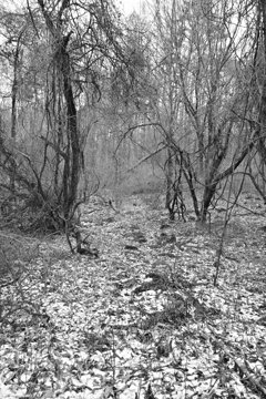 水路を遡って。