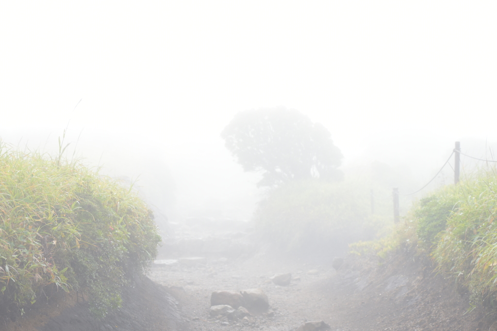 山登り(3)