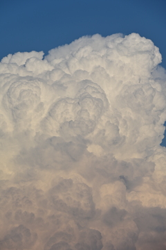 夏雲。