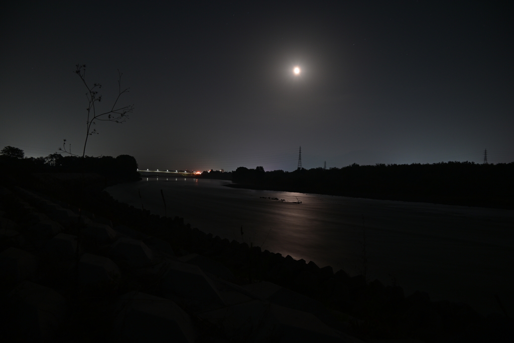 夜の河川敷。