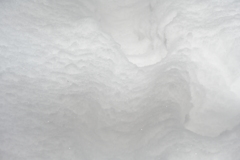 雪が降りまして。