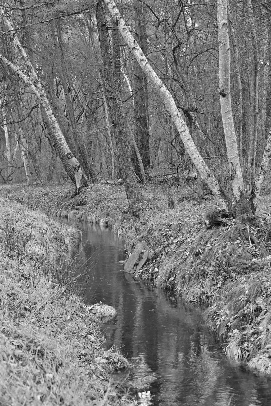 水路を遡って。