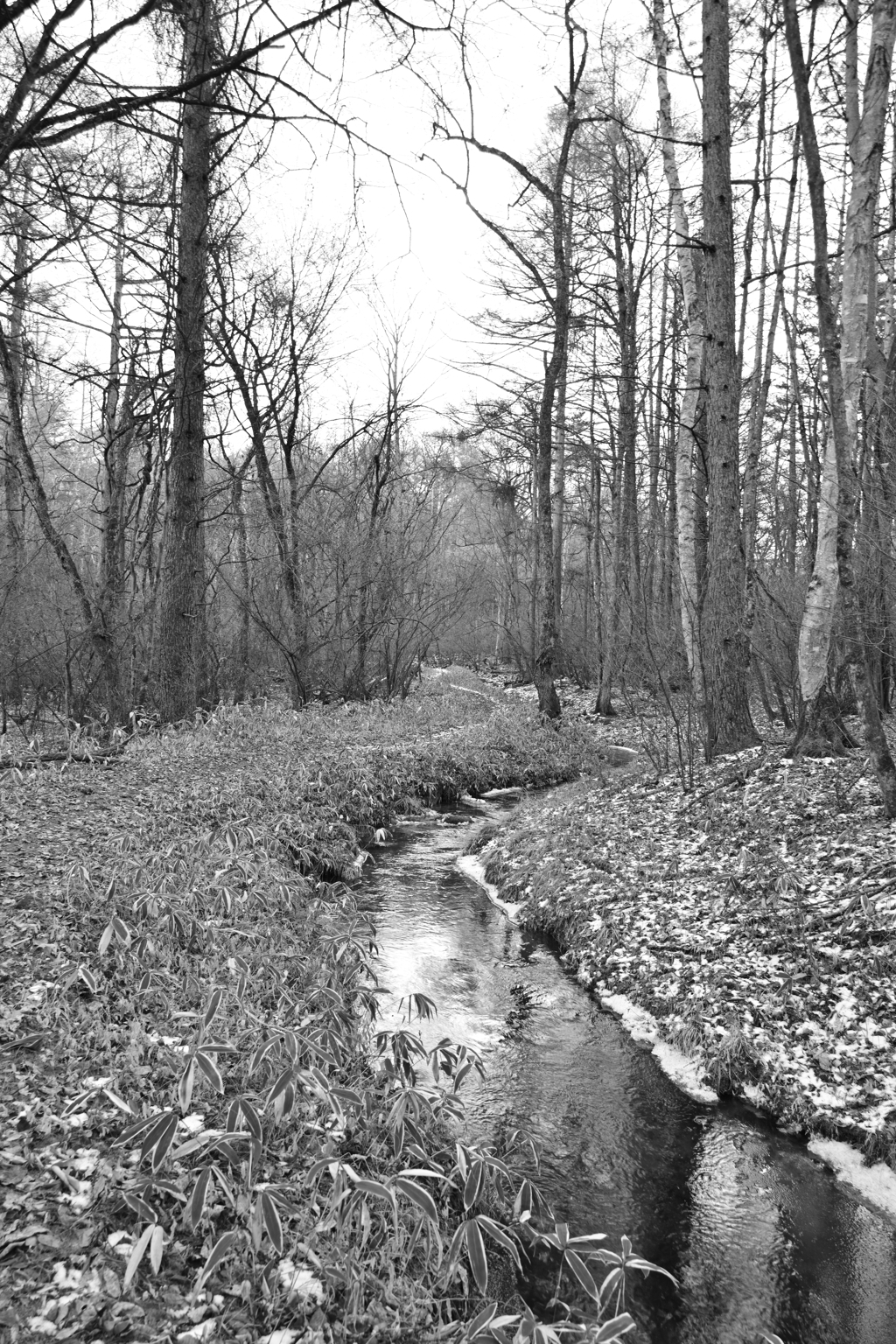 水路を遡って。