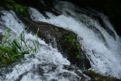 水の活気。