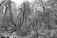 水路を遡って。