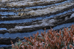 凍った水溜り。