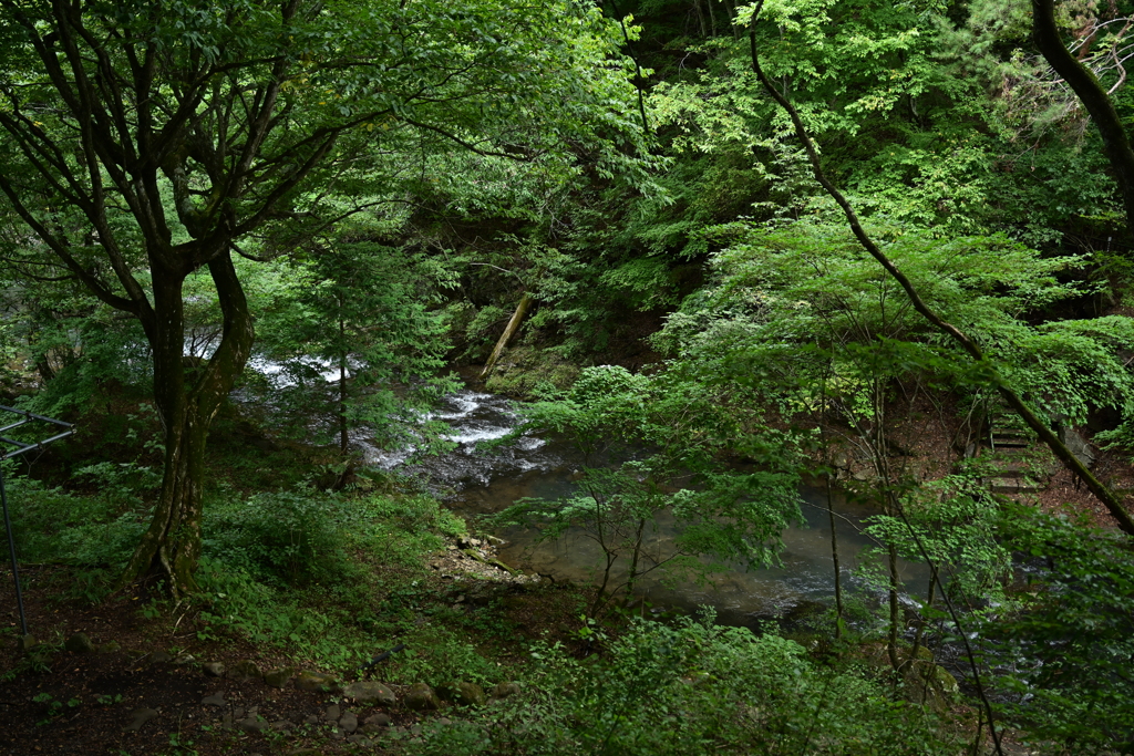 とある川辺。