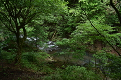とある川辺。