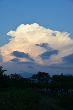 夏雲。