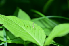 え、なんですか？