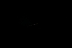 電車。