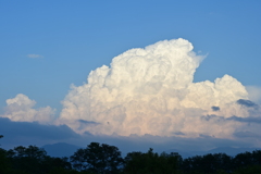 夏雲。