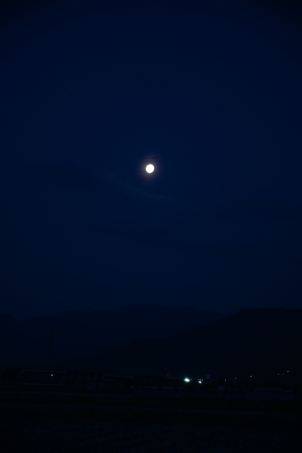 朝には朝の色がある