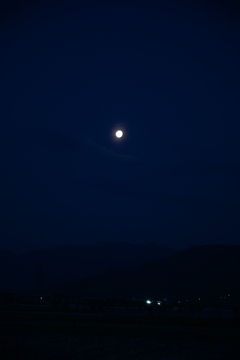 朝には朝の色がある