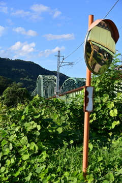夏の鉄橋。