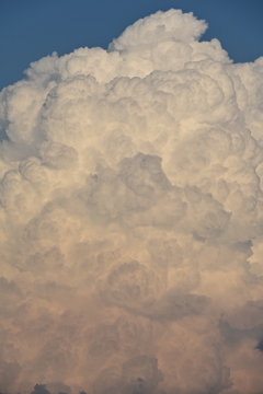 夏雲。