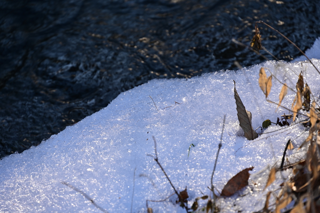 水路を遡って。