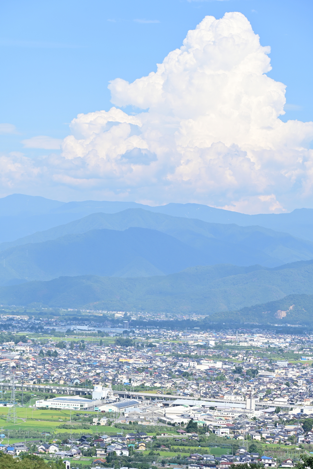 夏雲入りました。
