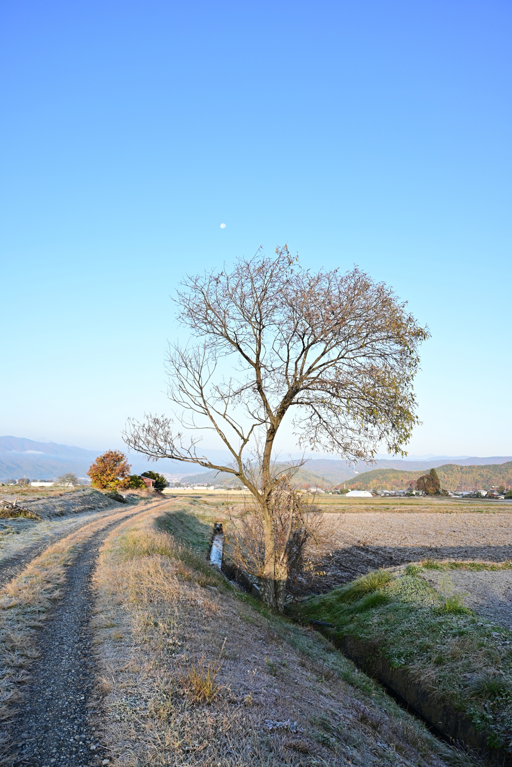 久し振りのZ5。