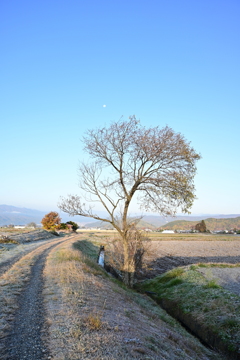 久し振りのZ5。