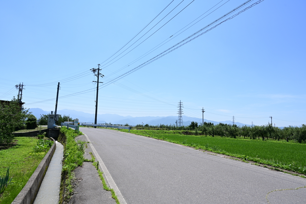 ぼくの夏休み風。