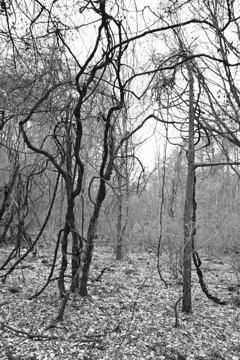 水路を遡って。