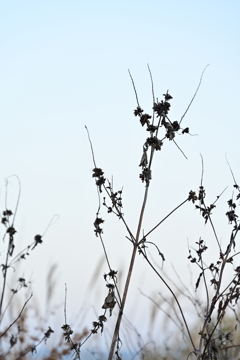 白黒じゃないよ。