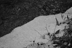 水路を遡って。