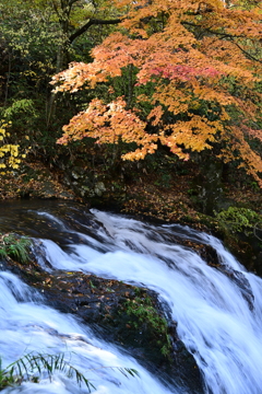 滝と紅葉。