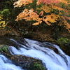 滝と紅葉。