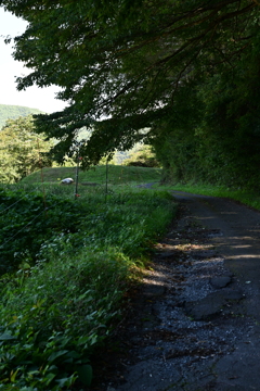 凸凹の田舎道。