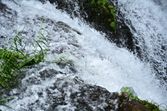 水の一瞬。