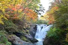 滝と紅葉。