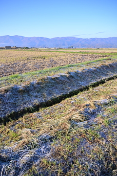朝焼けと枯れ葉色の大地。